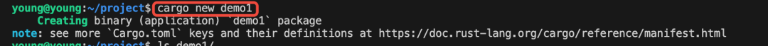 Exploring the Rust Language: The Perfect Fusion of Efficiency, Safety, and Concurrency