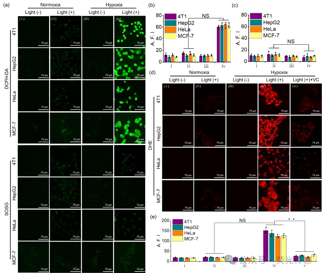 Professor Li Xingshu and Academician Juyoung Yoon in Angew: Hypoxia-triggered Bioreduction of Hydrophilic Type I Photosensitizers for Switchable In Vivo Photoacoustic Imaging and High-specificity Cancer Phototherapy