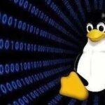 Linux Shell | Master Core Commands for Cluster Monitoring and Troubleshooting in 5 Minutes