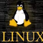 Powerful and Common Commands in Linux: find and grep