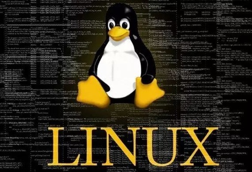 Powerful and Common Commands in Linux: find and grep