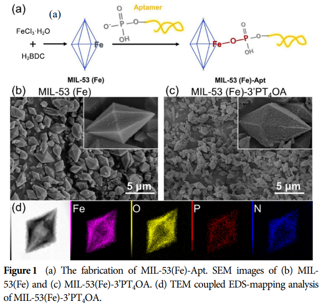 A Simple Strategy for Constructing Metal-Organic Framework (MOF)-Based Nanocatalysts to Enhance the Activity and Selectivity of Tetracycline Degradation