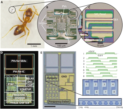 News: Smart Micro Robots with Electronic 'Brains' Walk Autonomously; Micro Swimming Robots May Treat Deadly Pneumonia; US Company Modifies Drones for Medical Supply Drops in Ukraine