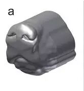 A Group of Scientists 3D Printed a Dog Nose, What Are They Up To?