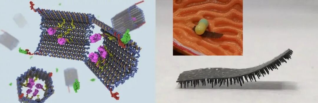 Microscopic Robots Invisible to the Naked Eye: Manufacturing One Million at a Time, Future Exploration of the Brain