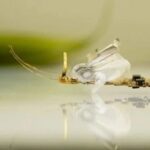The Resilient Micro-Insect Robot: Artificial Muscles Drive 450 Beats Per Second