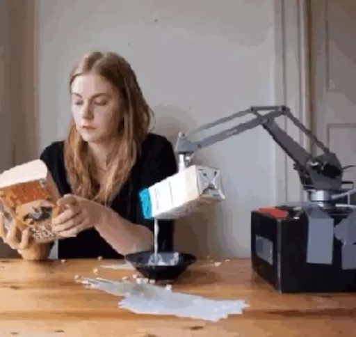 Heartfelt Technology: A Look at DIY Robots by Tech Enthusiasts