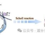 Direct π-extension of a Conjugated Carbon Nanohoop Using a Zipper Method