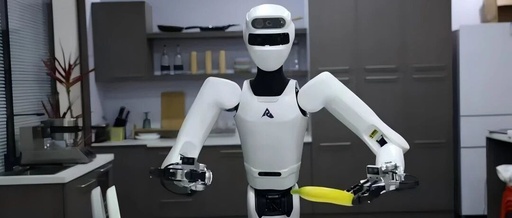 Bringing AI Robots into Every Household