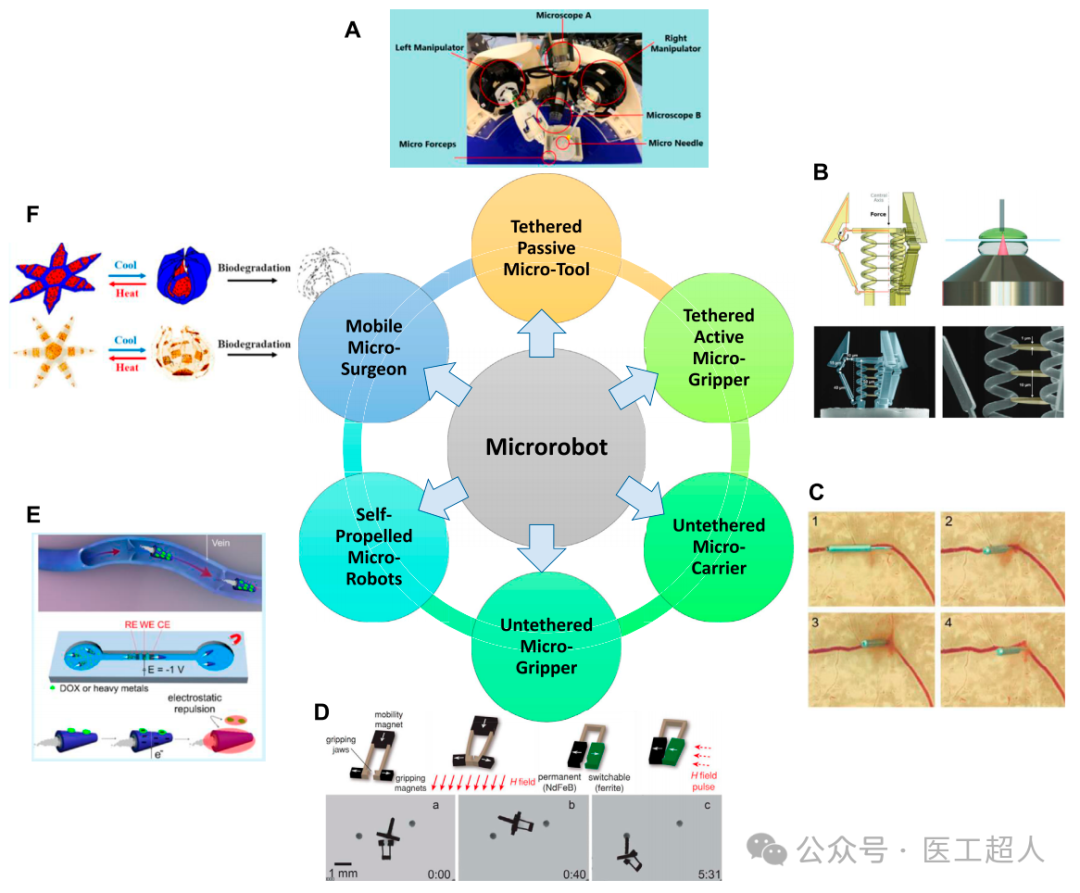 Applications of Microrobots in Medical Systems: A Comprehensive Analysis from Design to Practice
