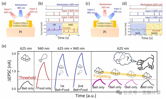 Nano Energy: Wafer-Level Flexible Two-Dimensional PtSe2 Layers with Bidirectional Wavelength Tunability for All-Optical Synaptic Operations