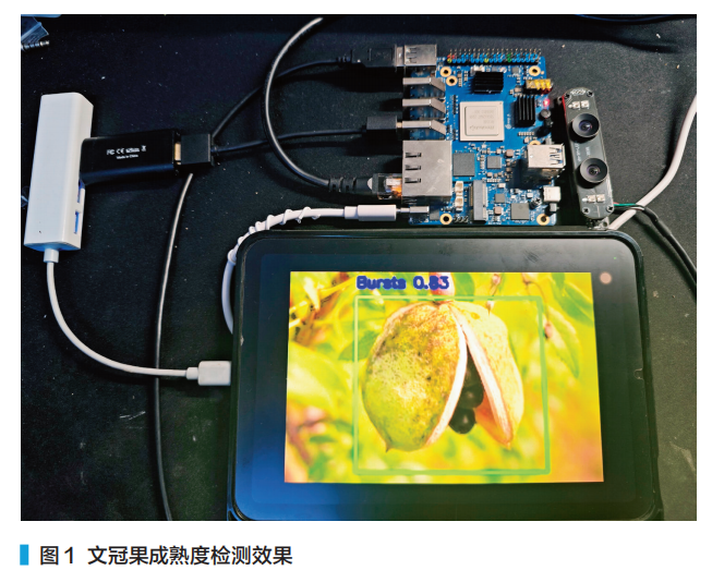 RK3588 Edge Computing Application: Detection of Walnut Ripeness