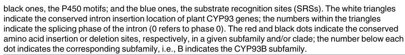 Genome-Wide Analysis, Classification, Evolution, and Expression Analysis of the Cytochrome P450 93 Family in Land Plants