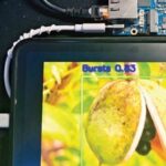 RK3588 Edge Computing Application: Detection of Walnut Ripeness