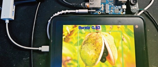 RK3588 Edge Computing Application: Detection of Walnut Ripeness