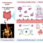 Zhejiang University Professors Cheng Kui and Cai Xiujun Publish in ACS Nano: Multifunctional Double-Loaded Oral Nanoplatform for Computed Tomography Imaging-Guided Integrated Treatment of Inflammatory Bowel Disease