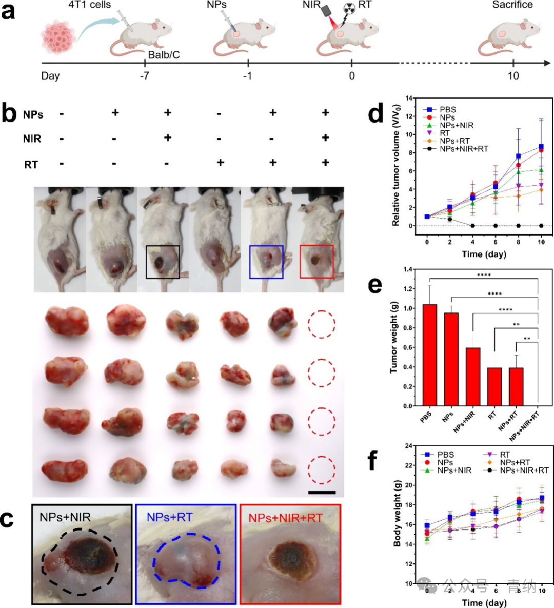 ACS Nano | Organic Radiotherapy Sensitizers with AIE Characteristics Achieve Tumor Ablation through Synergistic Induction of Apoptosis and Immunogenic Cell Death