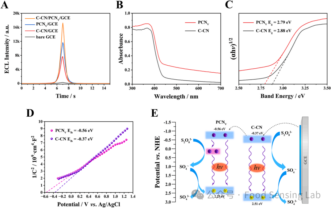 Detection of FTO Using a DNAzyme-Mediated CRISPR/Cas12a Signal Amplification Electrochemiluminescence Biosensor with C-CN/PCNV Heterojunction as Emitter