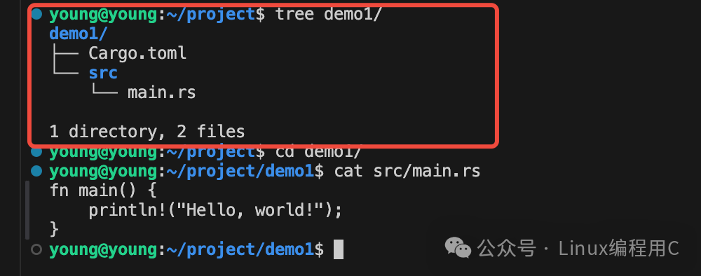 Exploring the Rust Language: The Perfect Fusion of Efficiency, Safety, and Concurrency