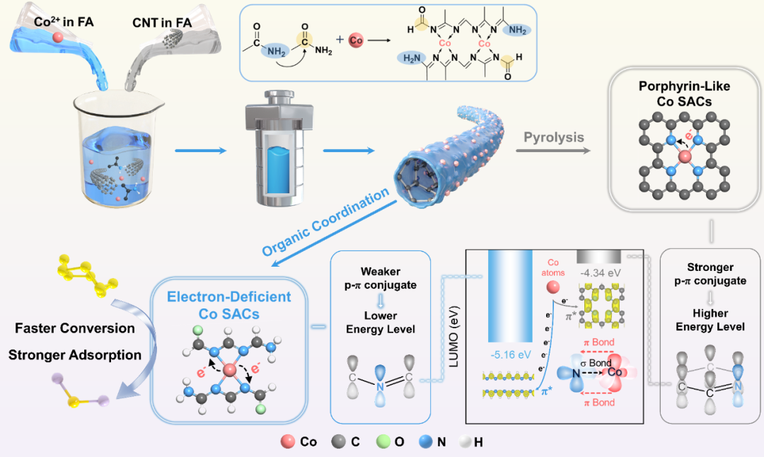 Rational Regulation of Electron-Deficient Cobalt Centers via p-π Conjugation for High-Performance Li-S Batteries