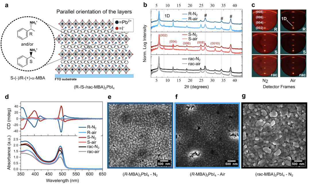 Humidity Disrupts Structural and Chiroptical Properties of Chiral 2D Perovskites