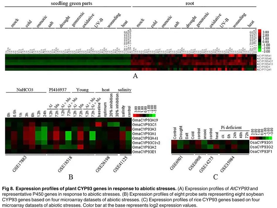 Genome-Wide Analysis, Classification, Evolution, and Expression Analysis of the Cytochrome P450 93 Family in Land Plants