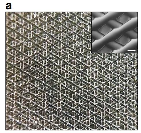 3D Printed Ovaries Restore Fertility in Mice