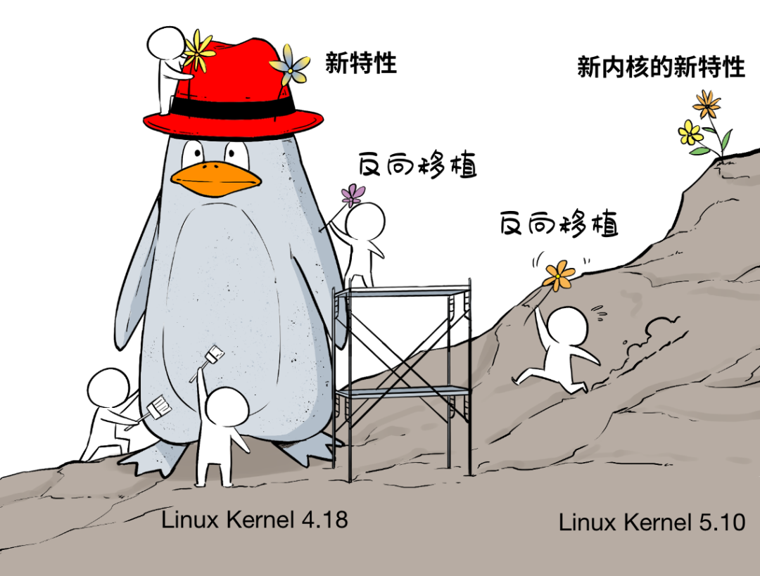 From 'Free Riding' to Mastering Linux!