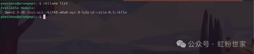 RKLLama: LLM Server and Client for Rockchip 3588/3576 Chips