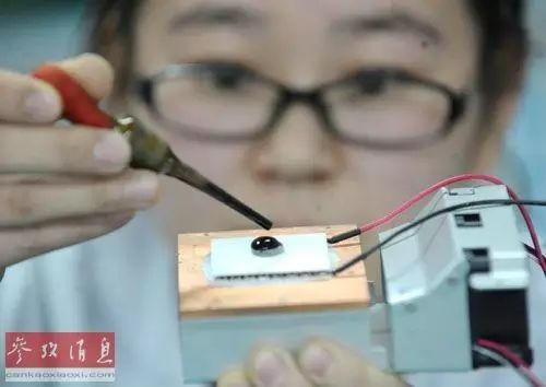 China's Semiconductor Market Exceeds $100 Billion: South Korean Media Reports Heavy Investment in Talent Acquisition
