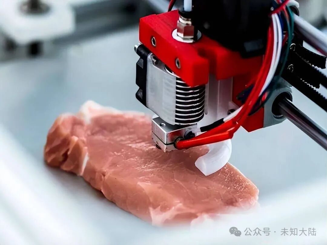 Is 3D Printed Meat a False Demand?