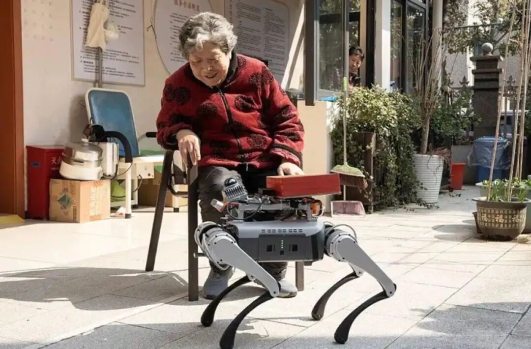 AI Robots Have Entered the Elderly Care Sector! Can You Accept It?