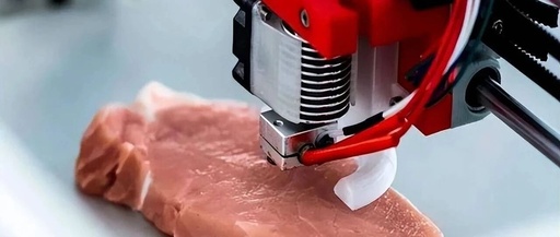 Is 3D Printed Meat a False Demand?