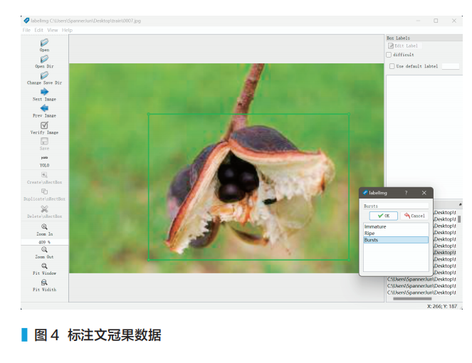 RK3588 Edge Computing Application: Detection of Walnut Ripeness