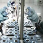 China's Semiconductor Market Exceeds $100 Billion: South Korean Media Reports Heavy Investment in Talent Acquisition