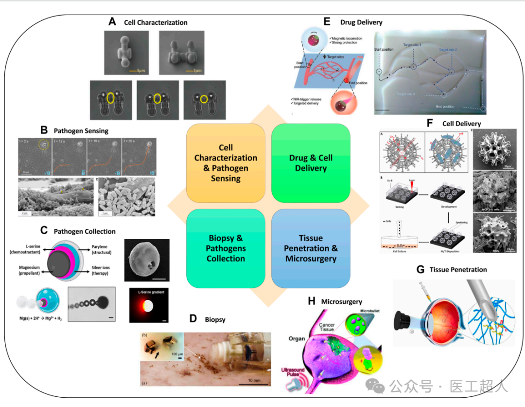 Applications of Microrobots in Medical Systems: A Comprehensive Analysis from Design to Practice