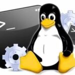 Examples of Control Statements in Linux Shell