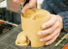 Someone 3D Printed a Fluffy Little Lion? I Laughed Out Loud When the Shell Was Removed