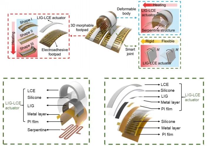 Tsinghua University's Miniature Soft Robot Can Climb Various Surfaces, Change Size from 6 to 90 mm, and Even Somersault!