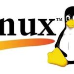 100 Essential High-Frequency Linux Commands for Reference