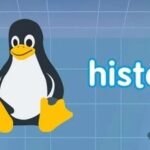 Linux History Command: How to Display the Date and Time of Command Execution