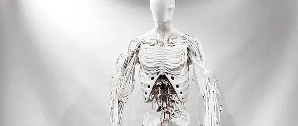 Acrobatic Open-Source Robot, DIY Electric 3D Scanning Turntable, Transparent Arduino UNO Board | DF Maker Weekly (Issue 122)