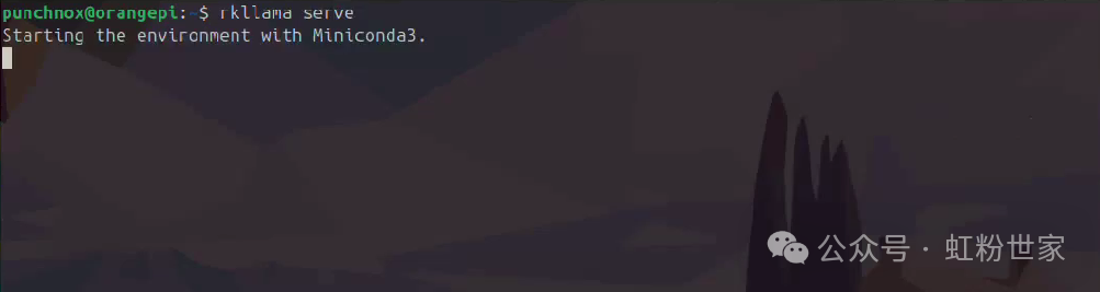 RKLLama: LLM Server and Client for Rockchip 3588/3576 Chips