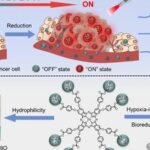 Professor Li Xingshu and Academician Juyoung Yoon in Angew: Hypoxia-triggered Bioreduction of Hydrophilic Type I Photosensitizers for Switchable In Vivo Photoacoustic Imaging and High-specificity Cancer Phototherapy