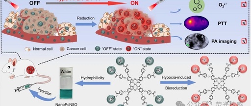 Professor Li Xingshu and Academician Juyoung Yoon in Angew: Hypoxia-triggered Bioreduction of Hydrophilic Type I Photosensitizers for Switchable In Vivo Photoacoustic Imaging and High-specificity Cancer Phototherapy