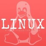A Must-Read for Linux Users: Easily Create an Efficient ZFS File System with File Compression