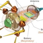Applications of Microrobots in Medical Systems: A Comprehensive Analysis from Design to Practice