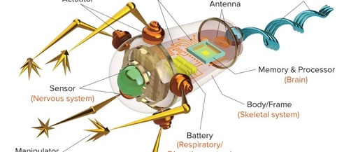 Applications of Microrobots in Medical Systems: A Comprehensive Analysis from Design to Practice