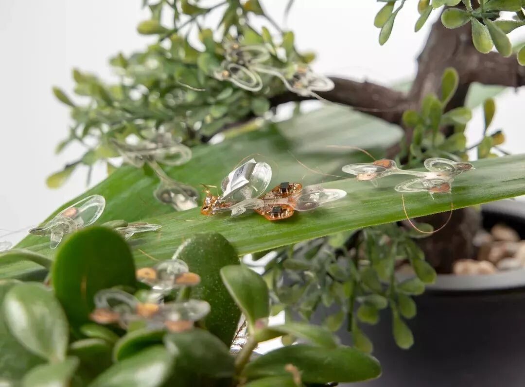 The Resilient Micro-Insect Robot: Artificial Muscles Drive 450 Beats Per Second