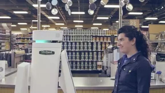 Artificial Intelligence and Robotics: The New Business of Silicon Valley